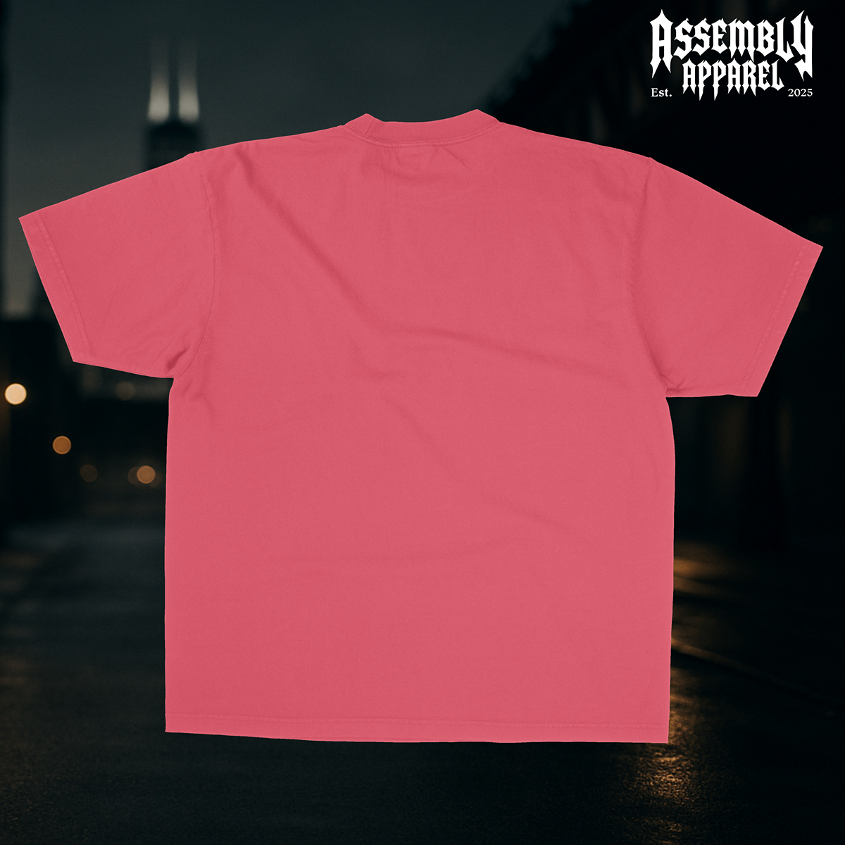 Valentine’s Day Embroidered XO Shirt